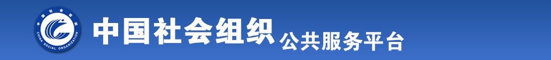 日韩逼全国社会组织信息查询